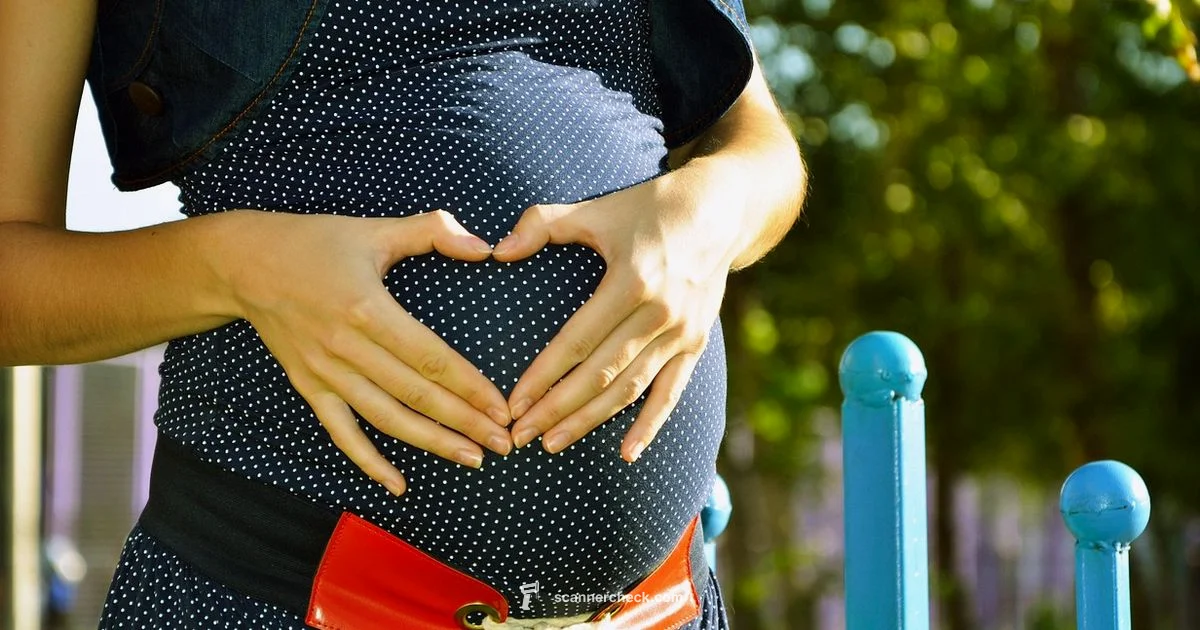 Early Pregnancy Scan Early Pregnancy Scan - Scanner Check