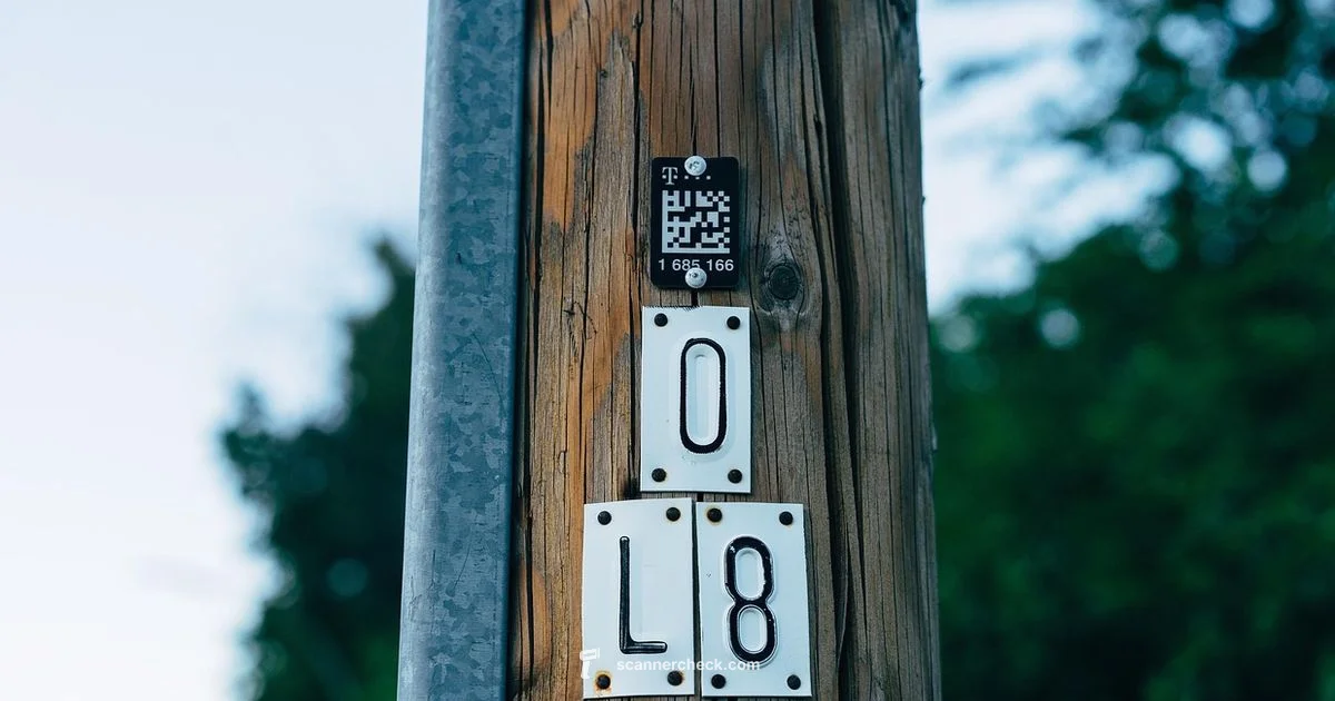 Scan QR in Telegram - Scanner Check