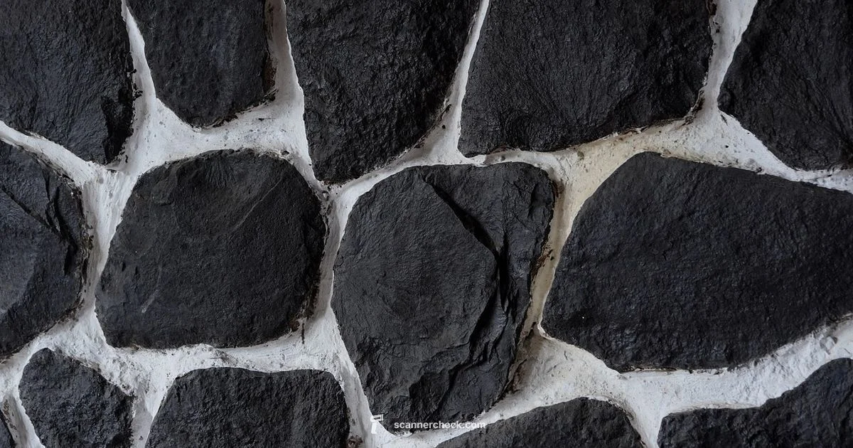 Scan Lines Overview - Scanner Check