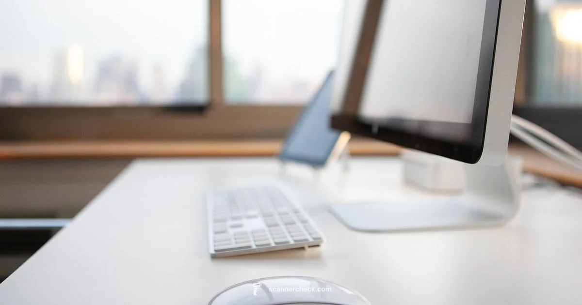 Build a Link Scanner - Scanner Check