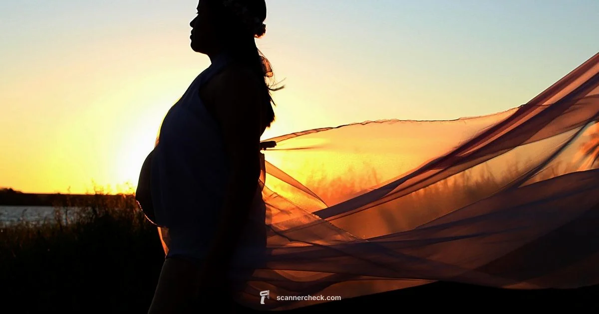 Safe Pregnancy Scans - Scanner Check