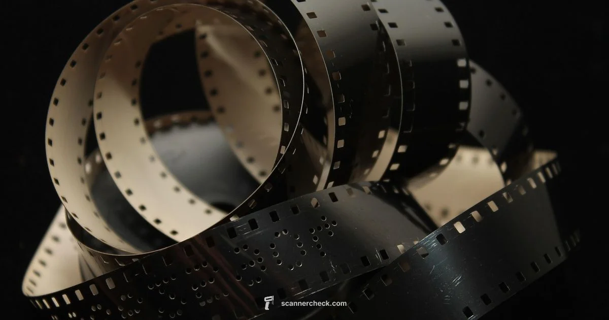 Scanners Film Series - Scanner Check