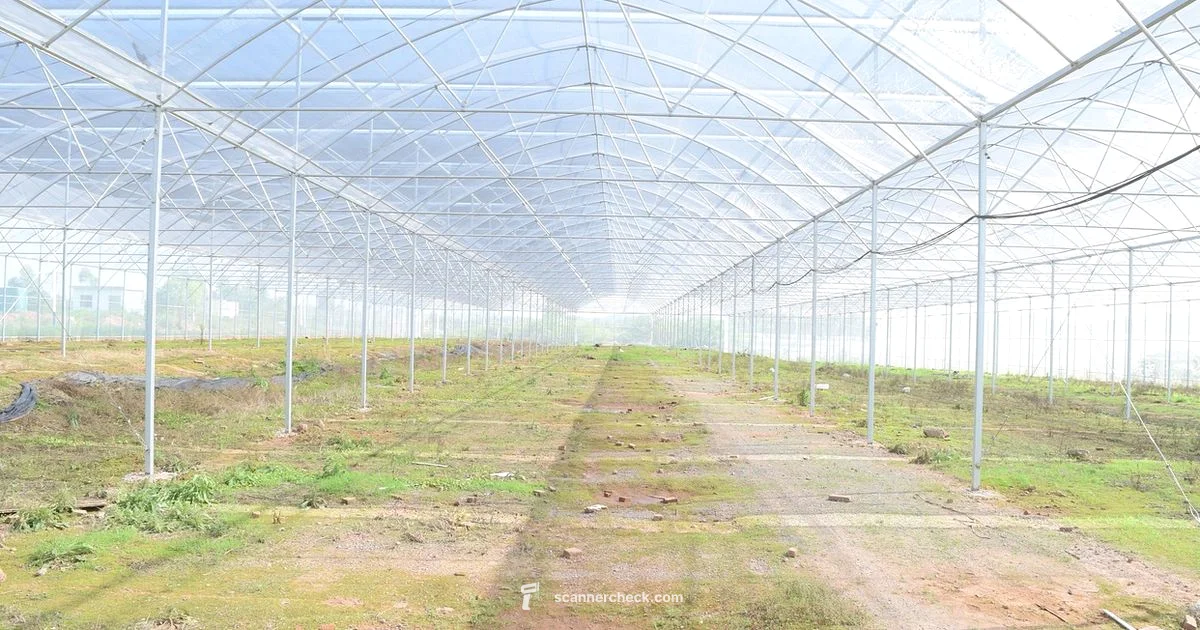 Plant Scanner Guide - Scanner Check