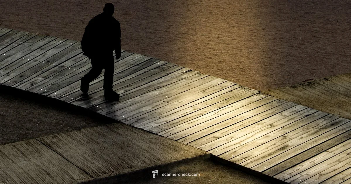 Cheater Scanner Time - Scanner Check