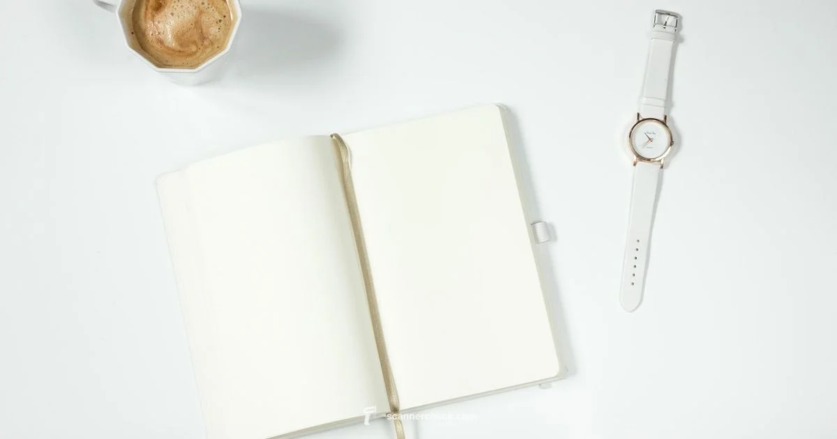 Handheld Scanner Basics - Scanner Check