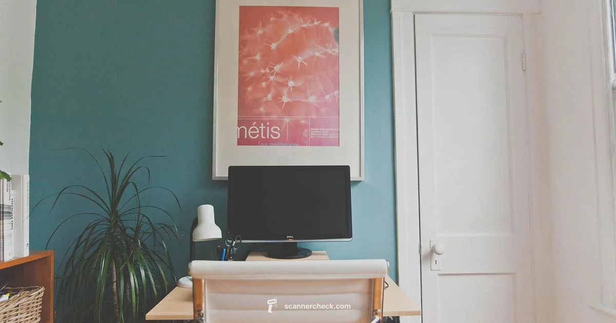 Origins of Scanners - Scanner Check