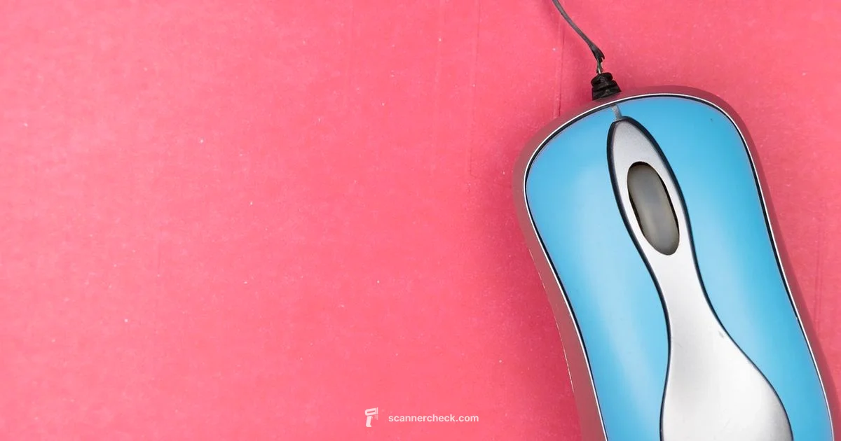 Scanner Online Guide - Scanner Check