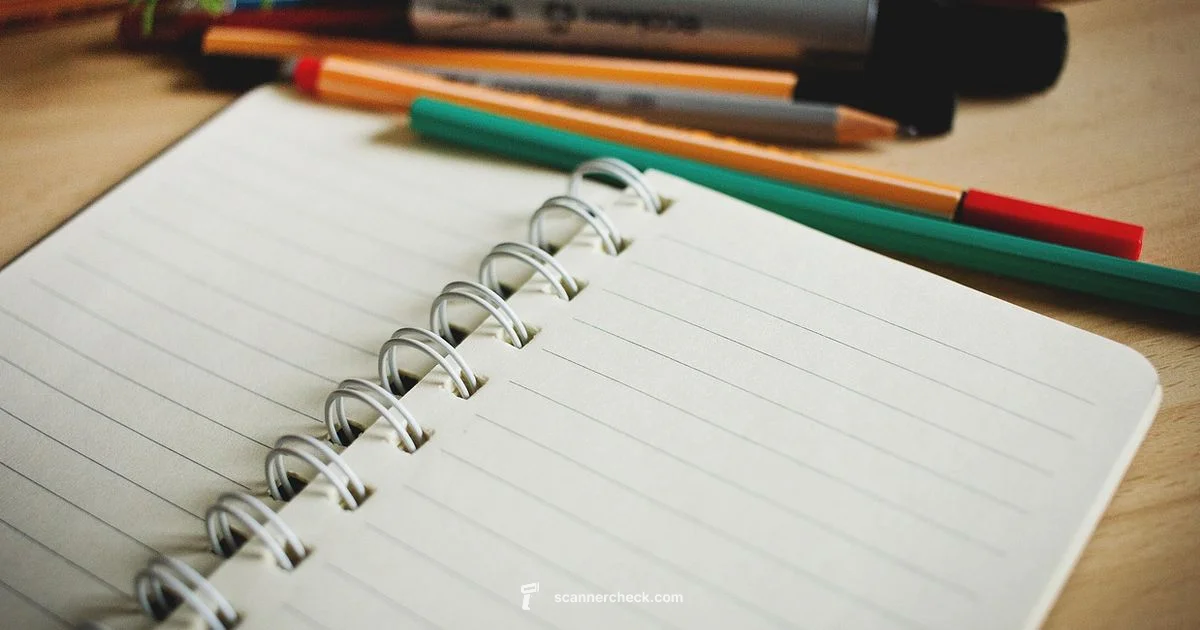 Scanner in Easy Words - Scanner Check