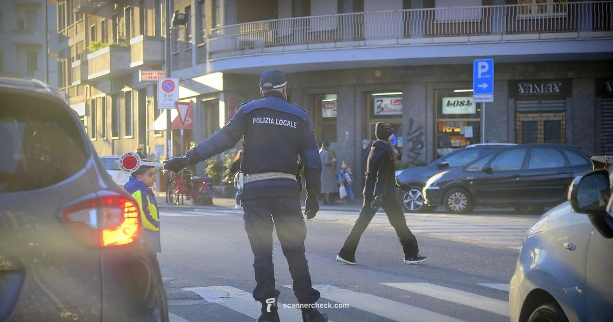 Rockford Scanner Guide - Scanner Check