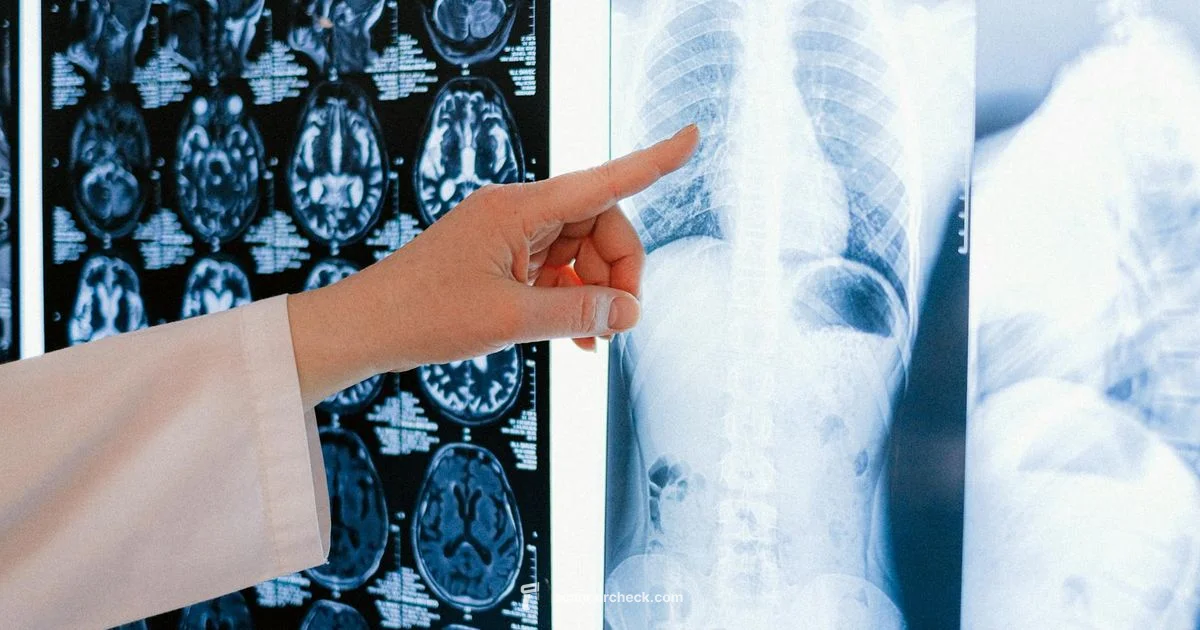 PET vs MRI Guide - Scanner Check