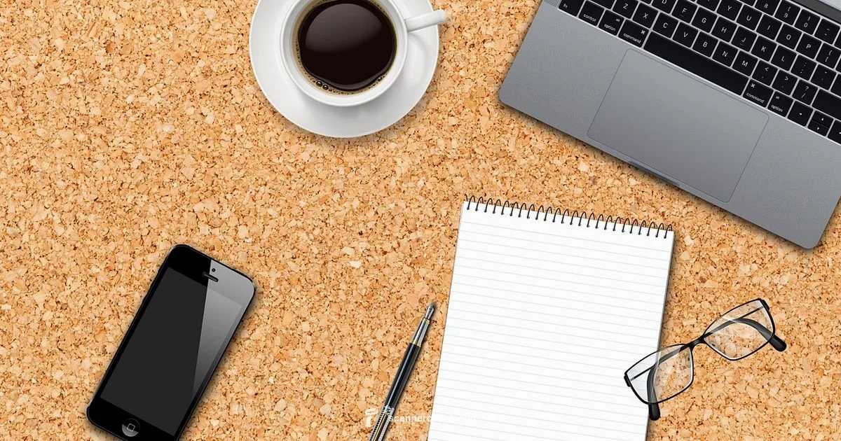 Download IP Scanner Guide Download IP Scanner Guide - Scanner Check