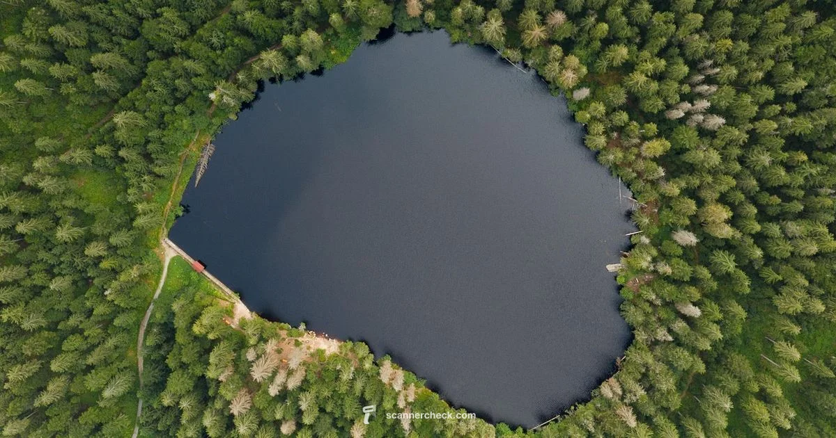 Lake Scanner Overview Lake Scanner Overview - Scanner Check