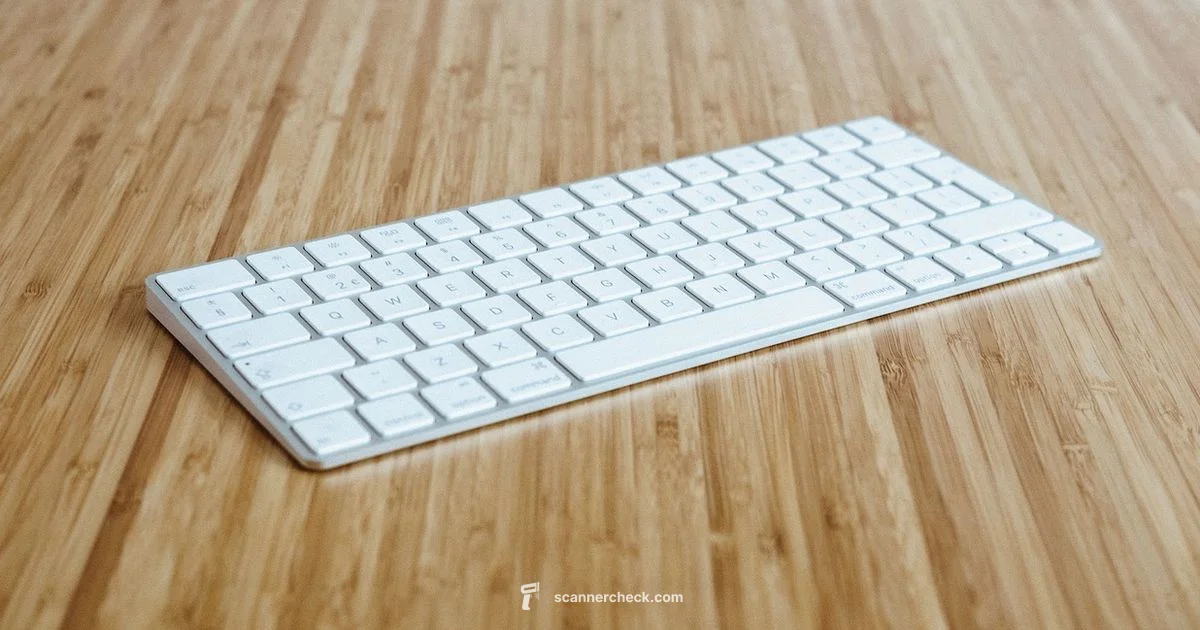 Avg Scanner 2026 Avg Scanner 2026 - Scanner Check