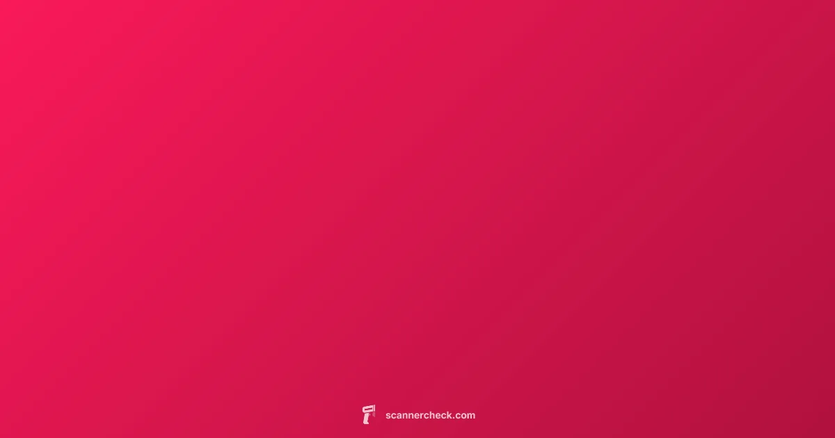 Topdon Scanner Guide - Scanner Check (illustration)