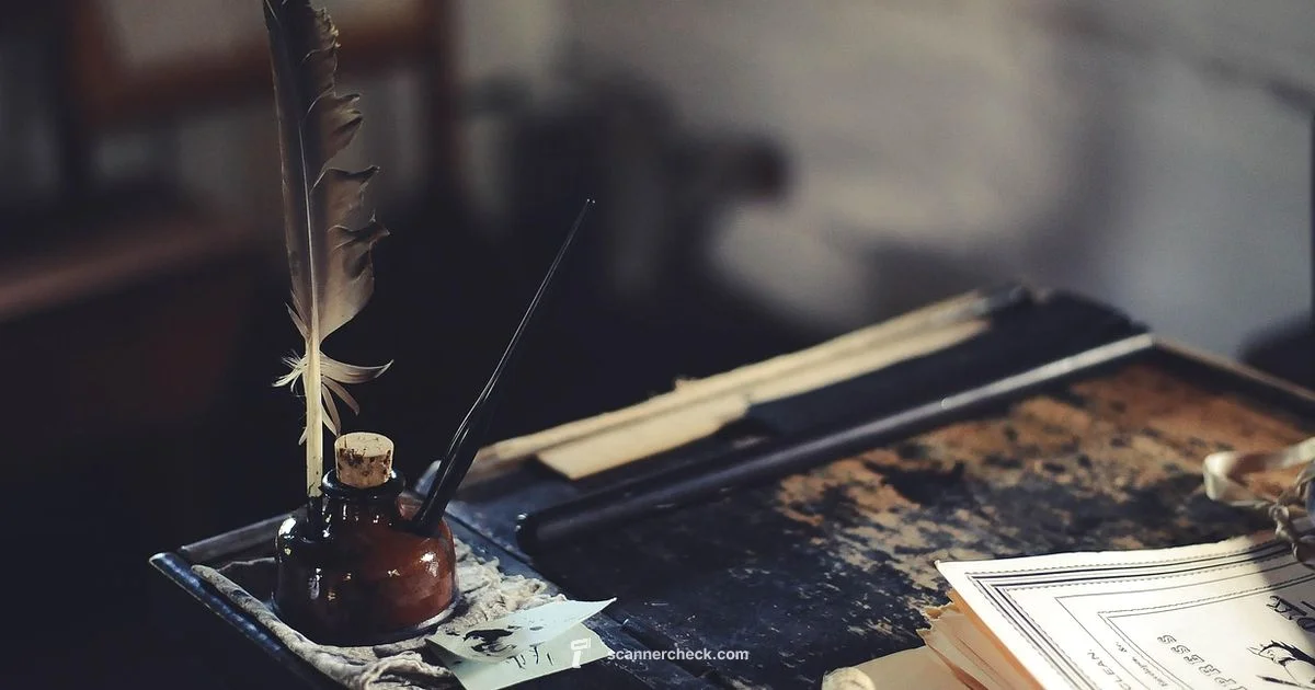 HP Scanner Guide - Scanner Check