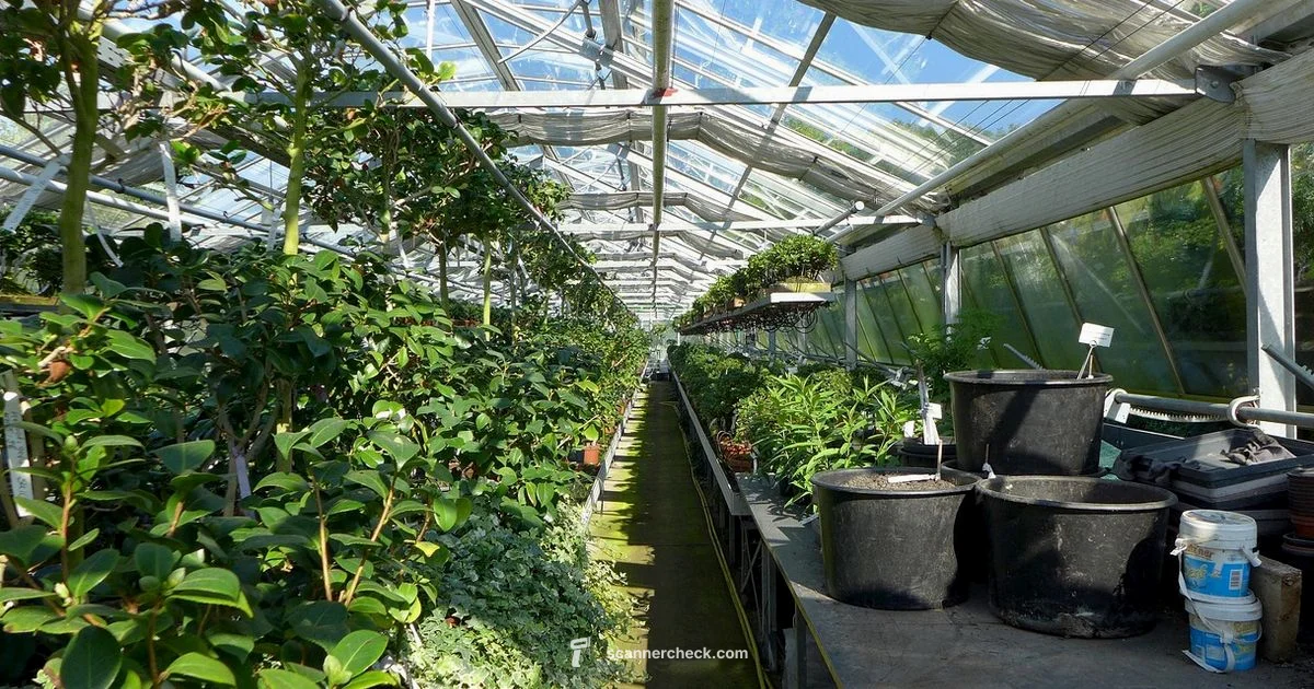 Plant Scanner Guide - Scanner Check