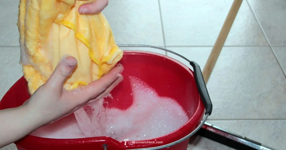 Feeder Cleaning Guide - Scanner Check