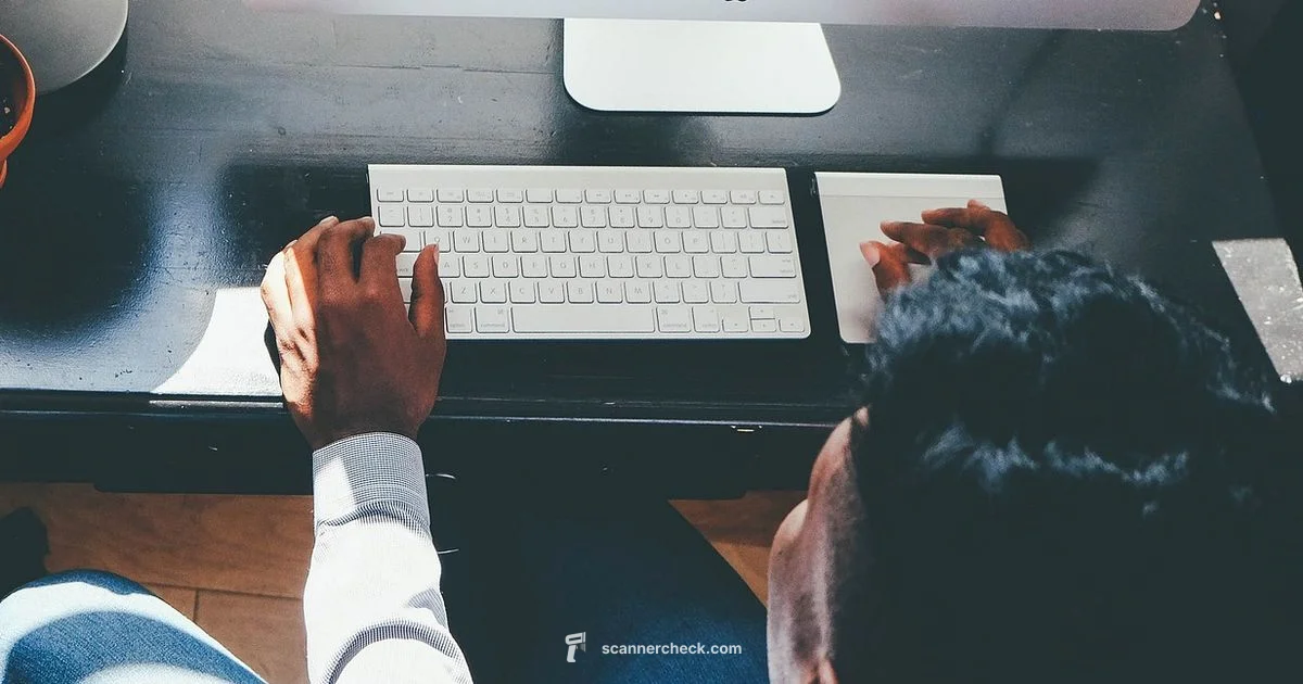 All in One Guide - Scanner Check