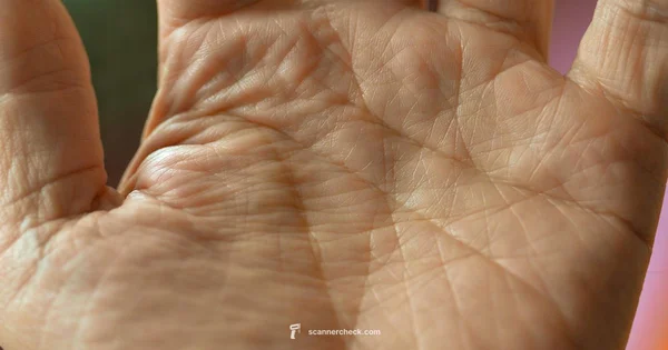 Palm Reading Scanner - Scanner Check