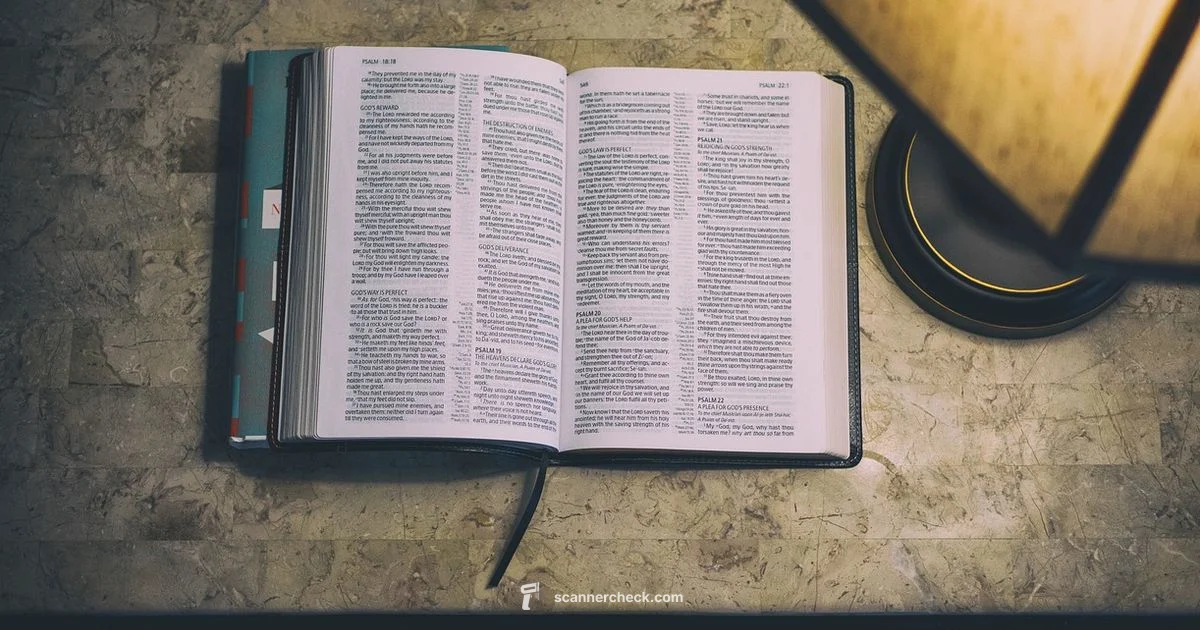 Card Scanner Guide - Scanner Check