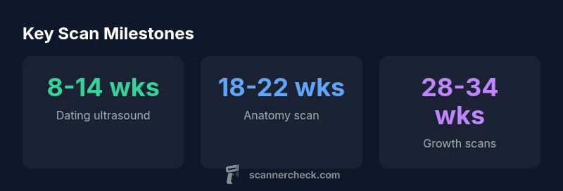 Timeline infographic showing dating, anatomy, and growth ultrasound windows