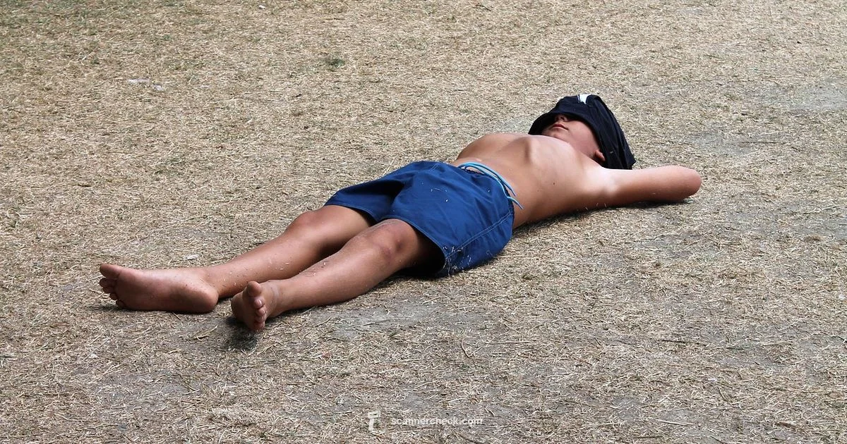 PET Fatigue Facts - Scanner Check