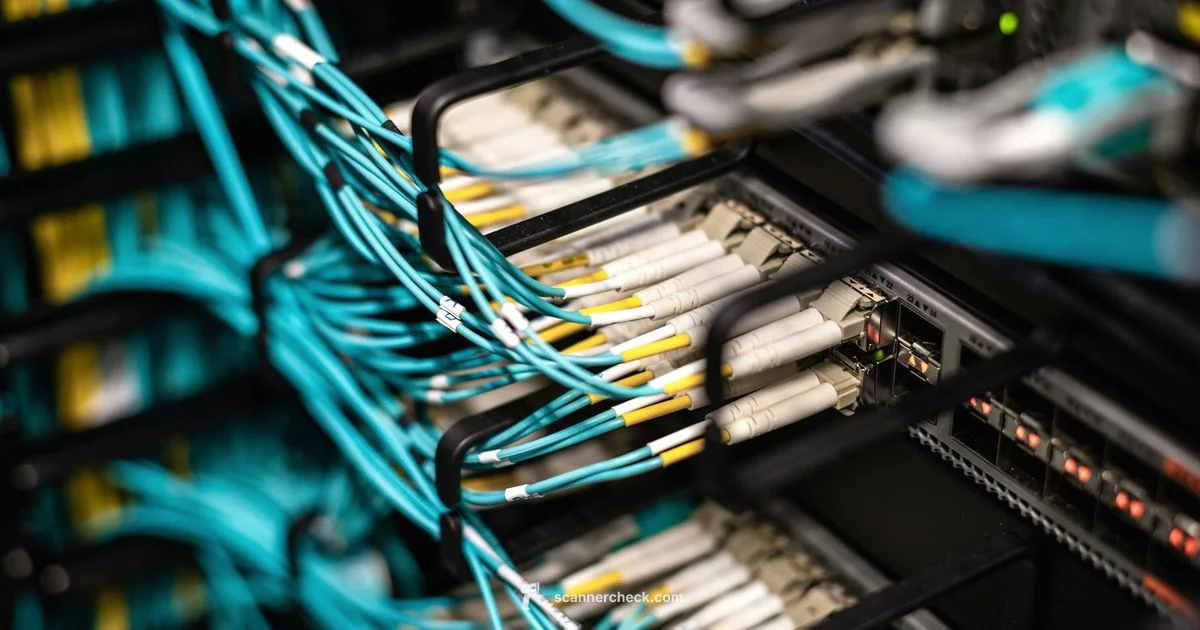 Nmap Scan Guide - Scanner Check