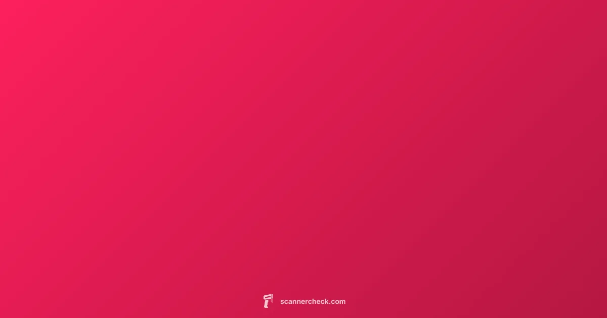 OBD2 Scanner Guide - Scanner Check (illustration)