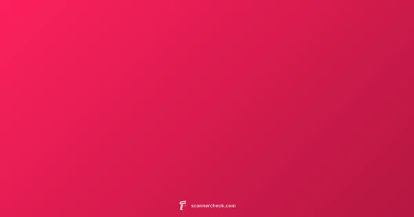 OBD2 Scanner Guide - Scanner Check (illustration)