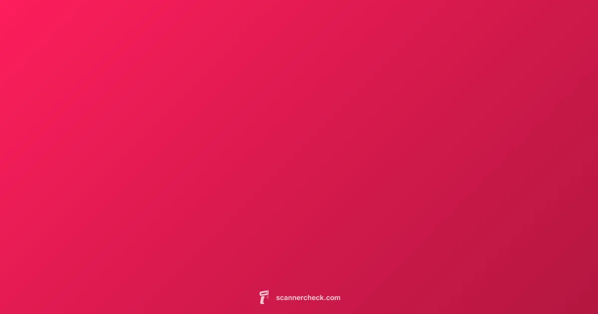 Scanner in Java - Scanner Check (illustration)