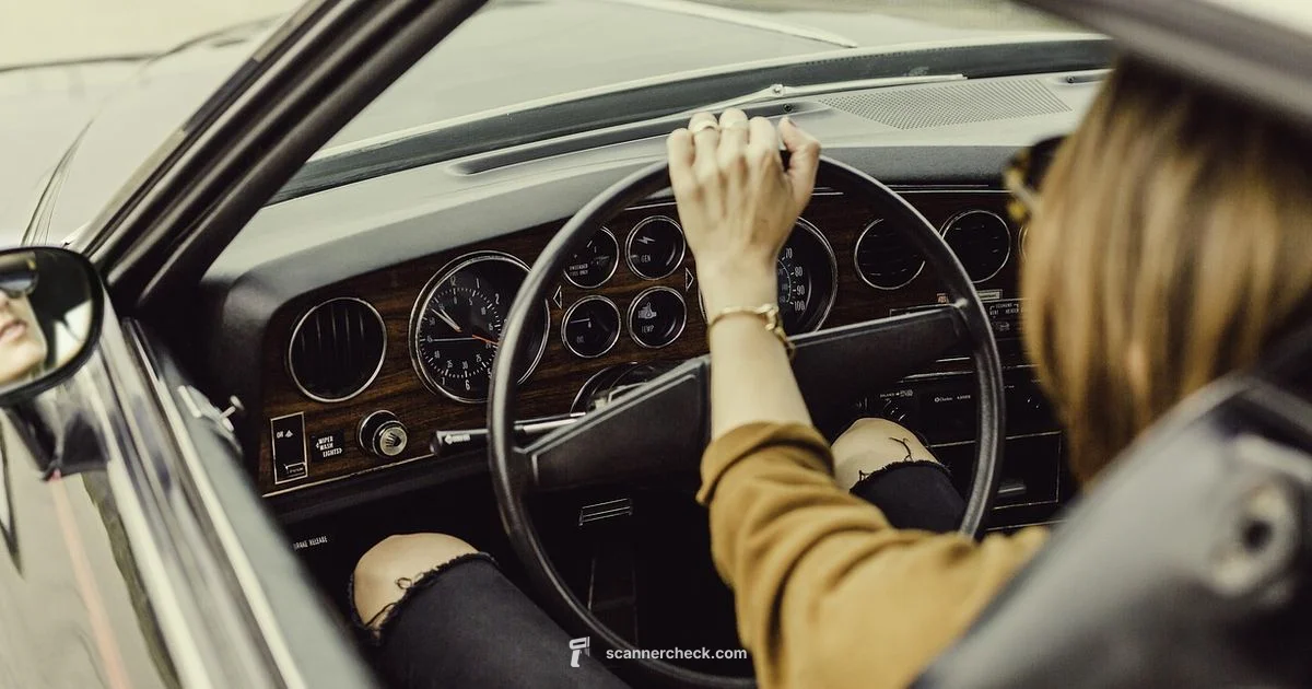 BlueDriver Pro OBD2 - Scanner Check