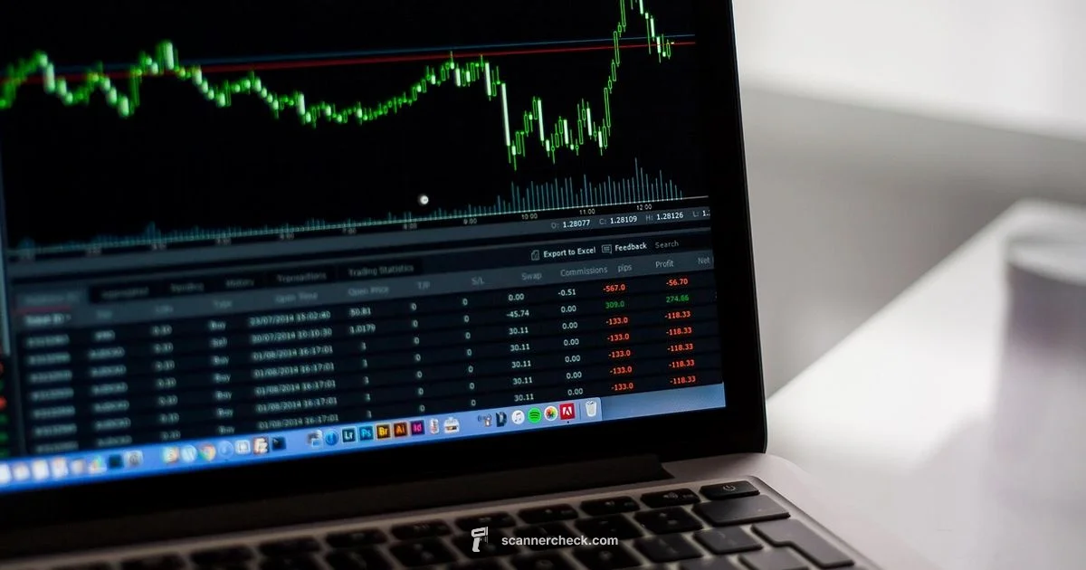 Scan for Corruption - Scanner Check