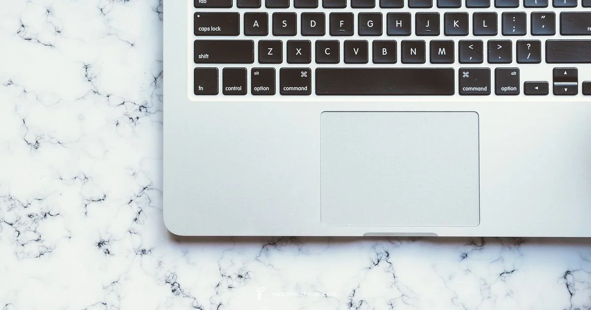 Genius Scanner Guide Genius Scanner Guide - Scanner Check