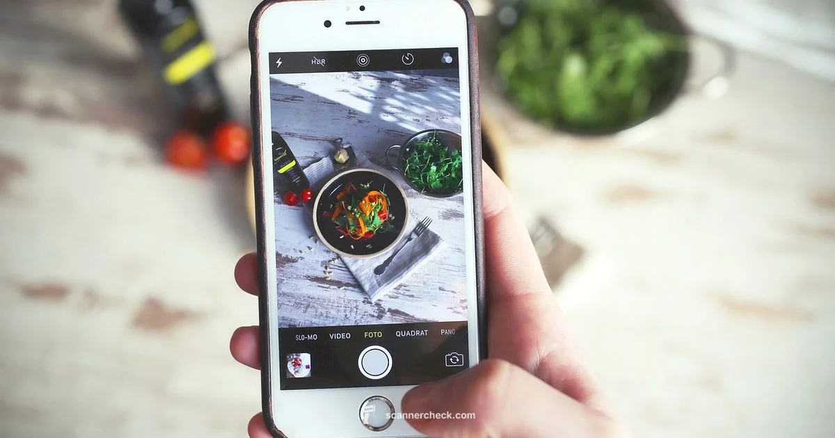 iPhone Scanning iPhone Scanning - Scanner Check