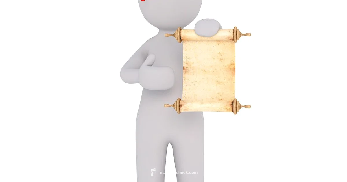 Identify Scan Bodies - Scanner Check