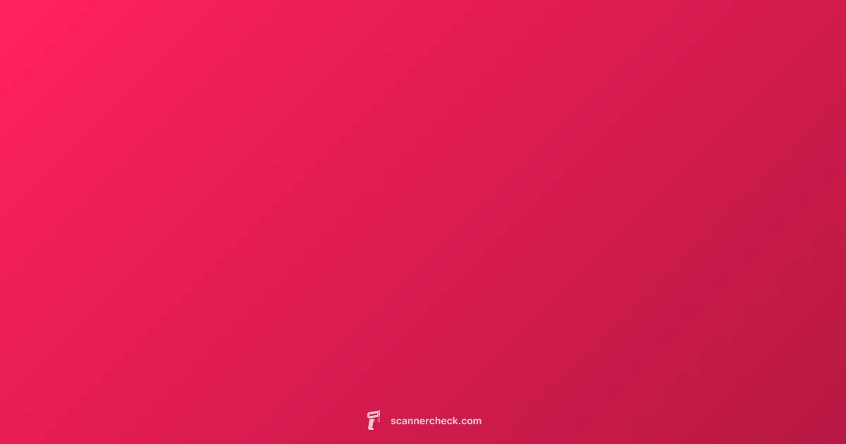 OBD2 Road Guide - Scanner Check (illustration)