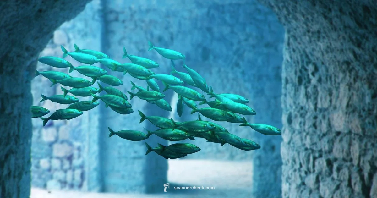 Scanner Build Guide Scanner Build Guide - Scanner Check