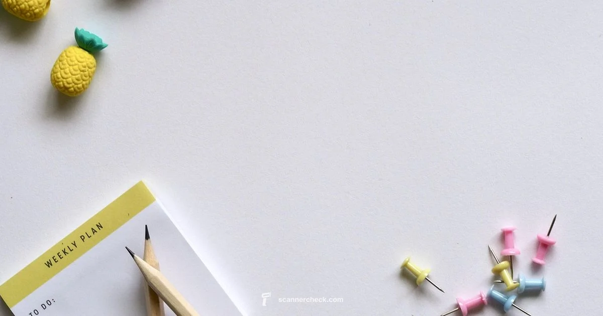 Computer Scanner Guide Computer Scanner Guide - Scanner Check