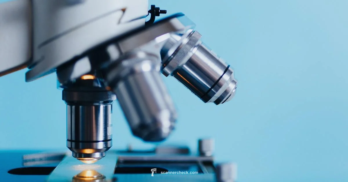 Body Composition Scanner - Scanner Check