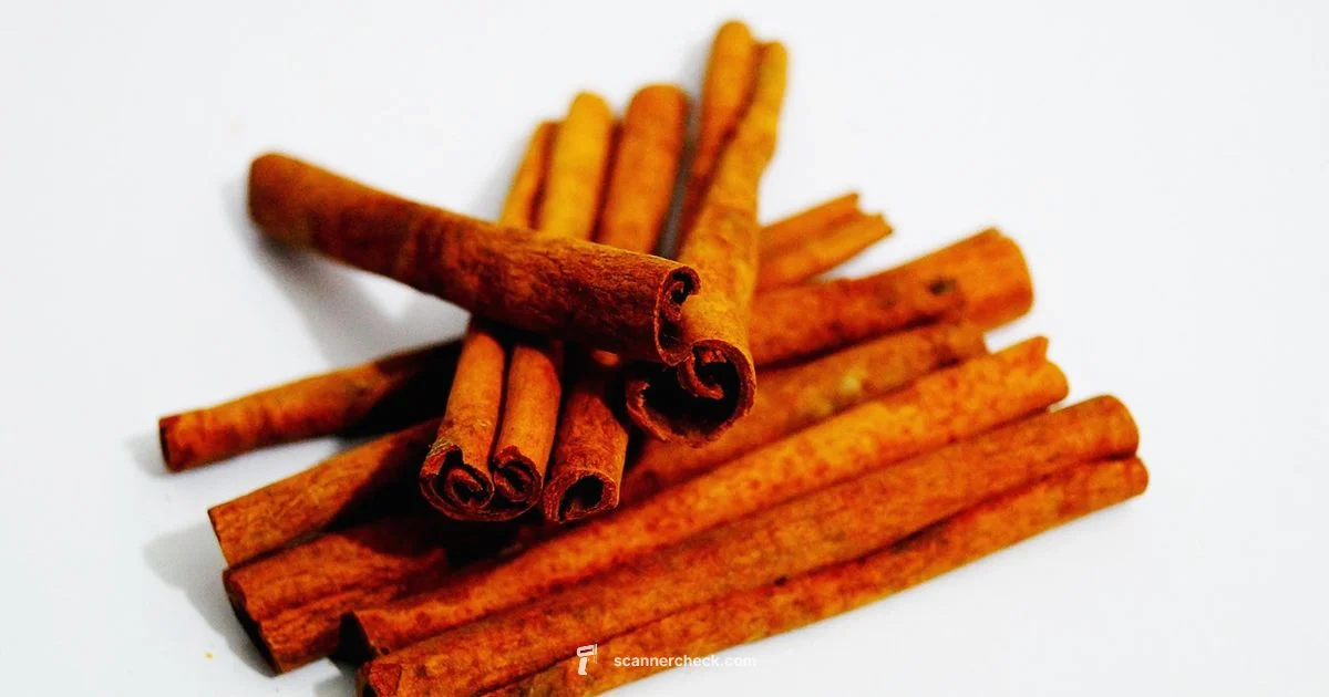 Who Makes ScanSnap - Scanner Check