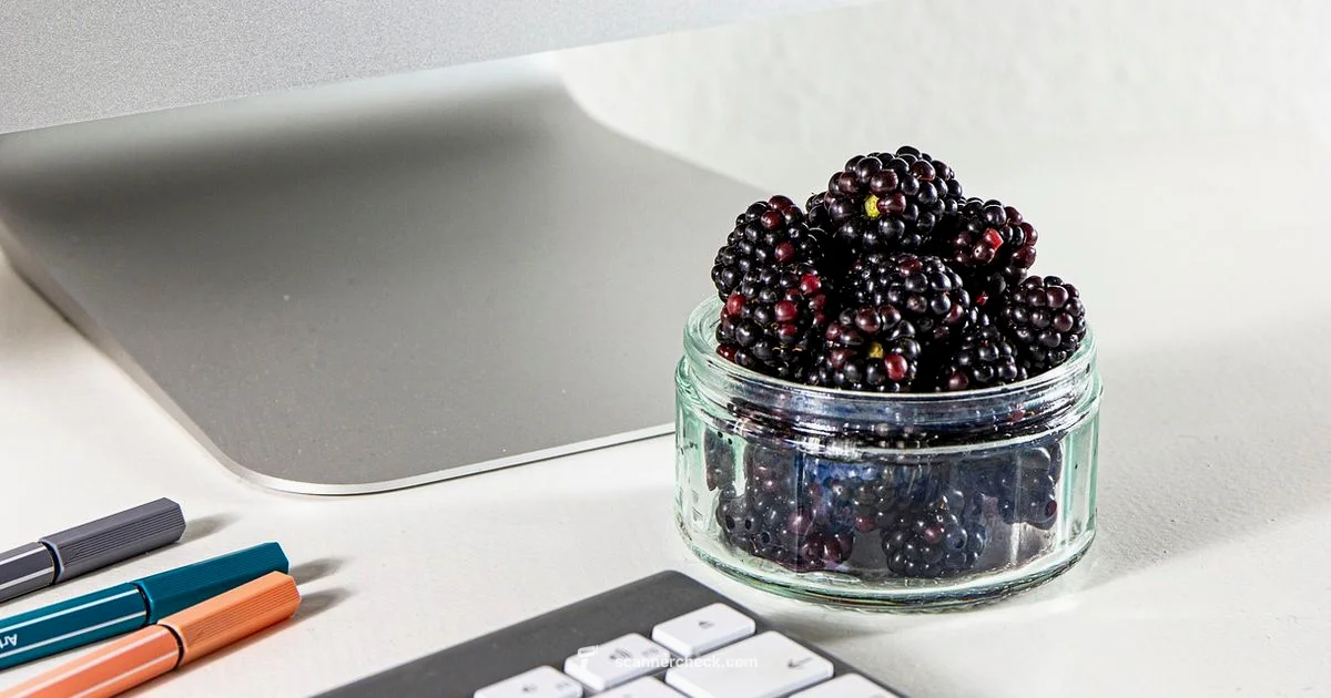 Start Scanner Guide - Scanner Check