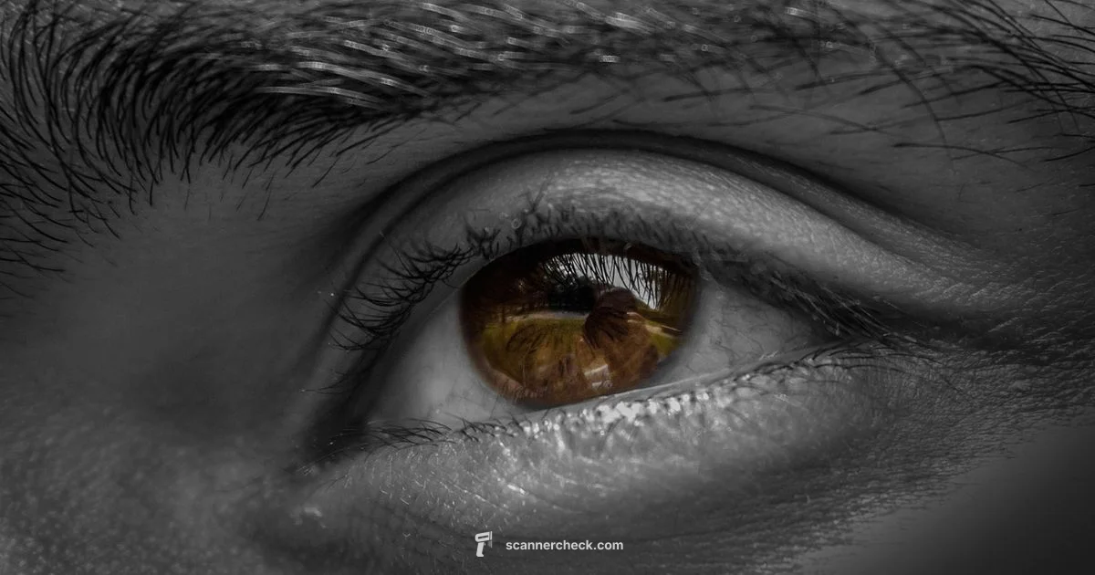 Eyeball Scanner Guide - Scanner Check
