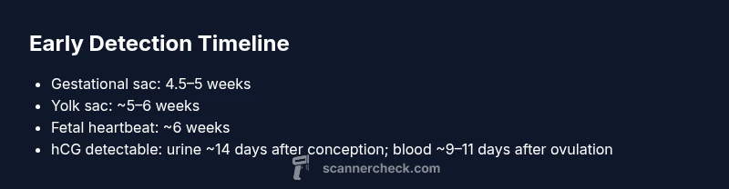 Timeline of early pregnancy detection by ultrasound and hCG tests