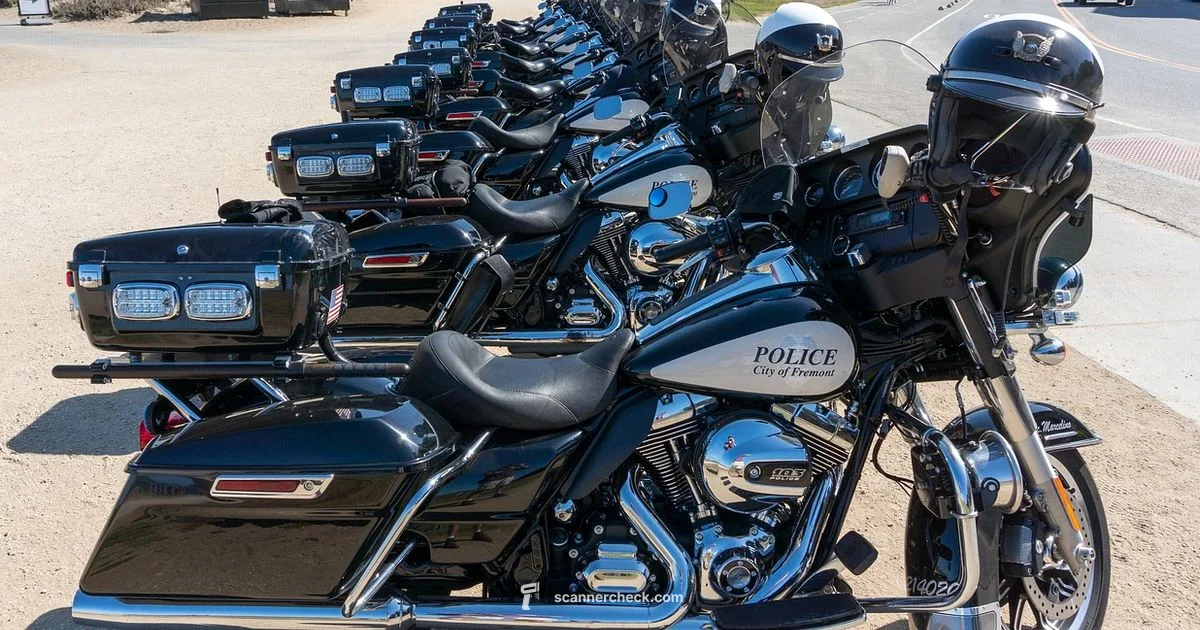 SF Scanner Guide SF Scanner Guide - Scanner Check