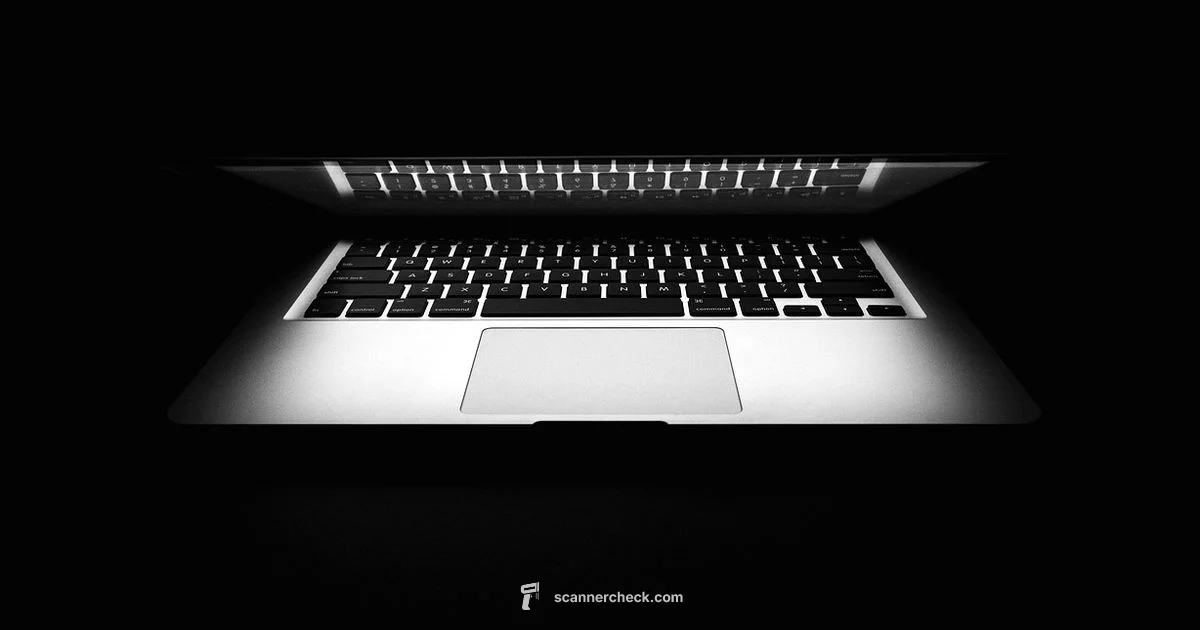 Zebra Scanner Charging - Scanner Check