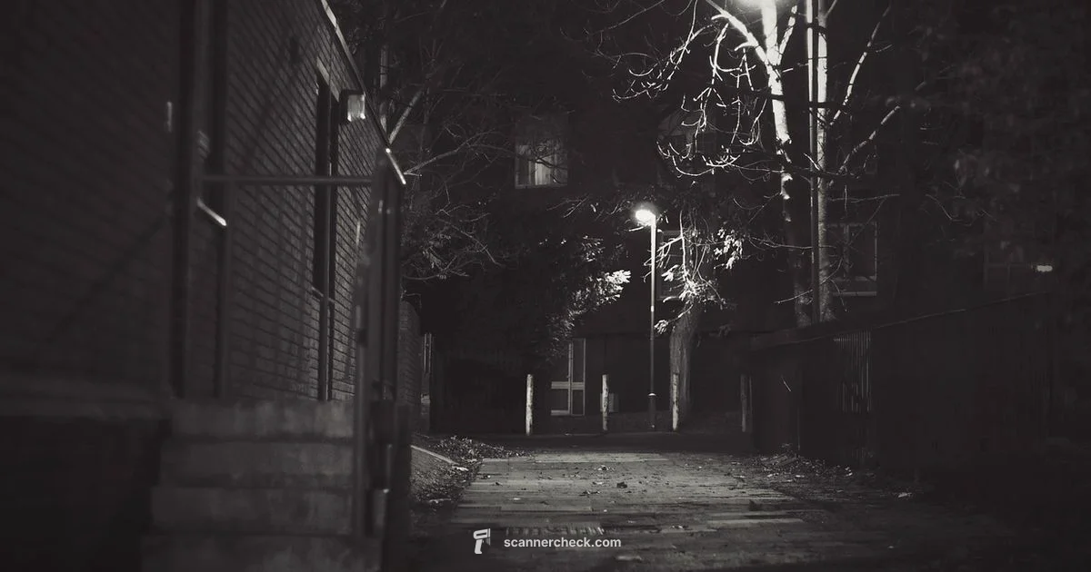 Ending Deep Dive - Scanner Check