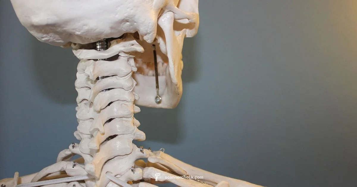 Head CT Scan - Scanner Check