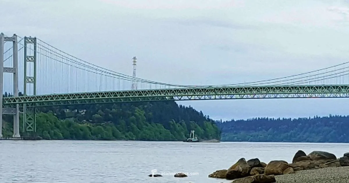 Tacoma Scanner Guide - Scanner Check