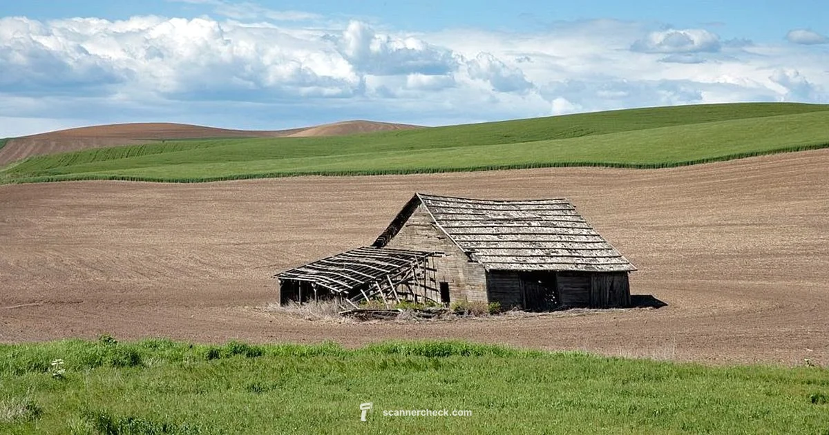 Idaho Ticket Scan Idaho Ticket Scan - Scanner Check