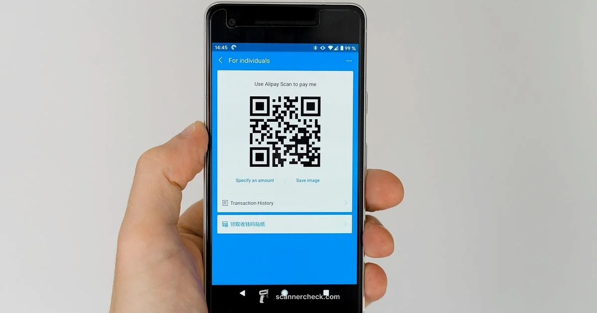 Scan and Go Overview - Scanner Check
